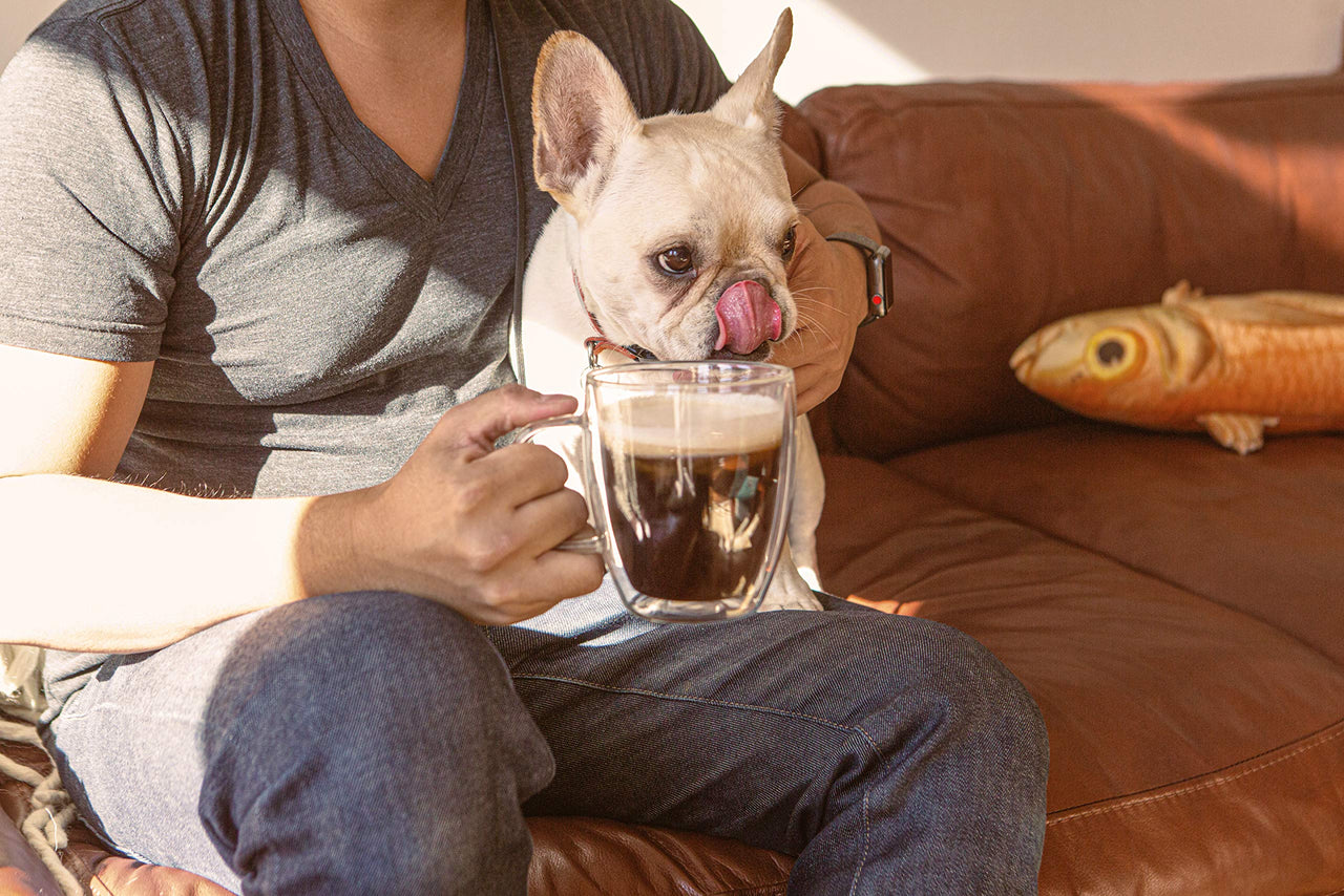 Rapidfire Ketogenic High Performance Instant Coffee Mix, Supports Energy and Metabolism, 15 Servings, brown, 7.93 ounce (pack of 1)