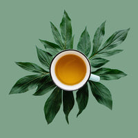The Spice Hut The First Sip of Tea Star Of The Nile Flavored Loose Leaf Green Tea, 8 ounce (GF116C)