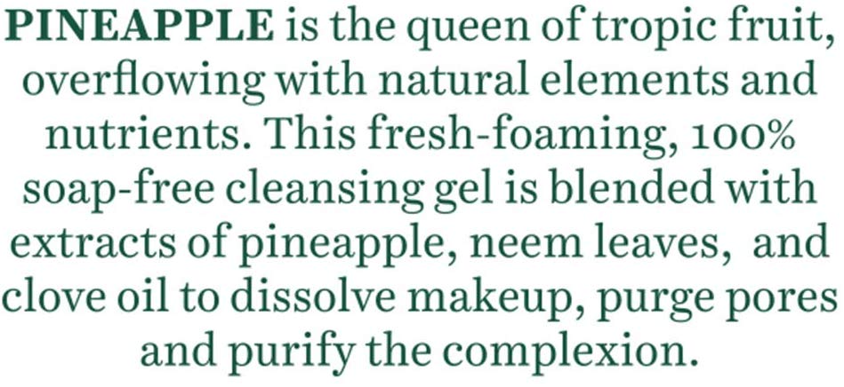Biotique Bio Pineapple Oil Control Foaming Face Cleanser Normal to Oily Skin (120 ml)