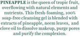 Biotique Bio Pineapple Oil Control Foaming Face Cleanser Normal to Oily Skin (120 ml)