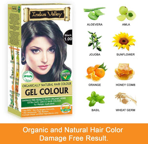 Indus Valley Herbal, Natural Gel Hair Color Black 1.00 Pack of 2 (20gm + 200 ml)