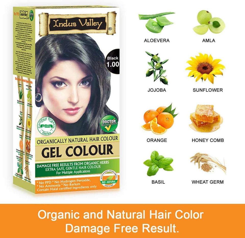 Indus Valley Herbal, Natural Gel Hair Color Black 1.00 Pack of 2 (20gm + 200 ml)