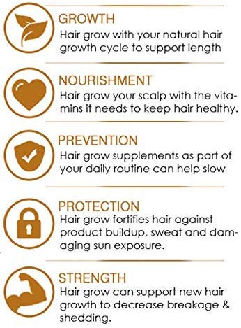 Vriddhi Organic Amla Hair Oil with Methi and Curry Leaves for Hair Growth, Reduce Hair Loss and Rejuvenate Follicles - 100 ML