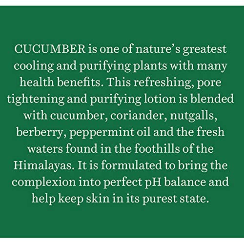 Bio Cucumber Pore Tightening Toner, 120ml